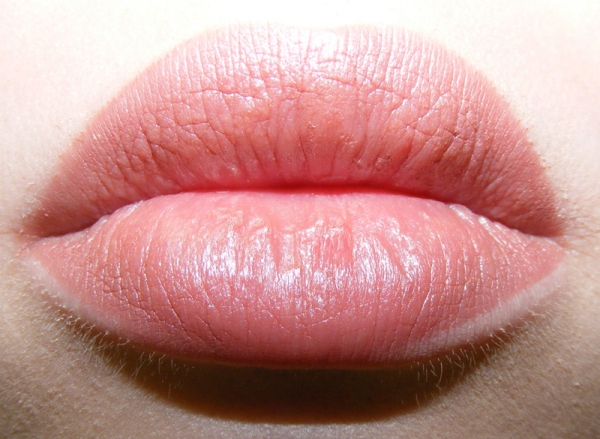 Creation of Labret Literature: Step 2